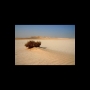 qatar6